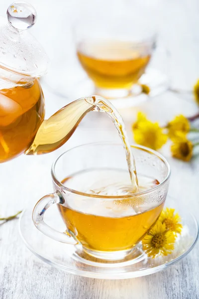 フキタンポポ花とハーブのお茶を注ぐ — ストック写真