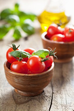 Çeri domates ve fesleğen