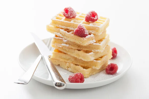 Waffles with raspberry and icing sugar — Stock Photo, Image