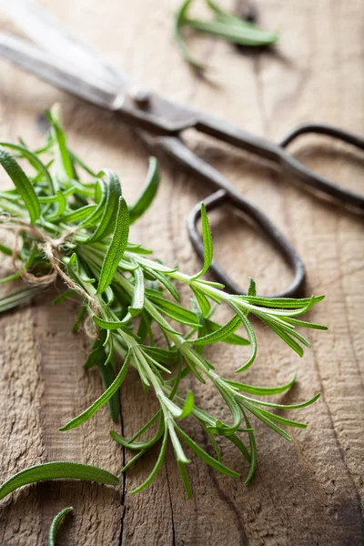 Fresh rosemary herb on wooden background — Stock Photo, Image