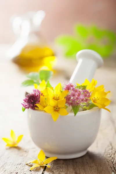 Mortero con flores y hierbas — Foto de Stock