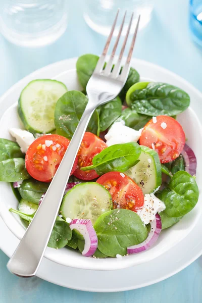 Salad with tomatoes cucumber and goat cheese — Stock Photo, Image