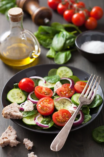 Salat mit Tomaten, Gurken und Ziegenkäse — Stockfoto