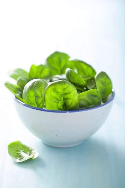 Baby spinach leaves in bowl — Stock Photo, Image