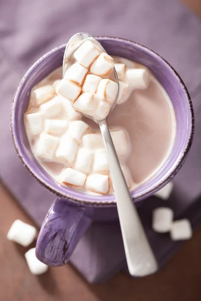 Kakao med mini marshmallows i sked — Stockfoto