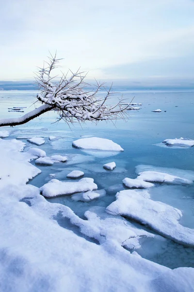 Zimní norský fjord krajina s strom a LED — Stock fotografie