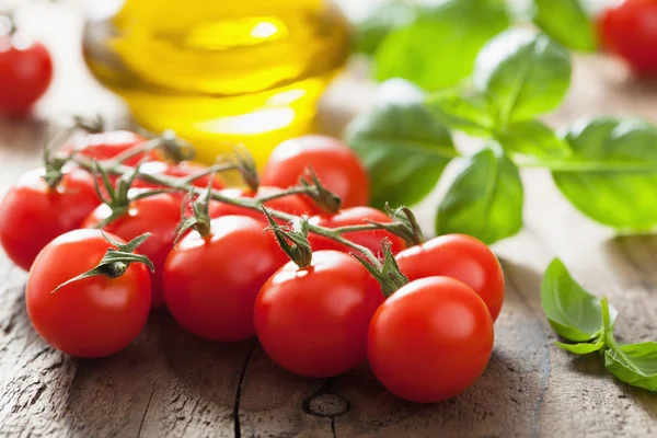 Tomate cereja e manjericão — Fotografia de Stock