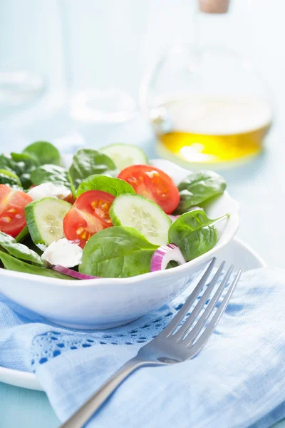 Salade met tomaten, komkommer en geit kaas — Stockfoto