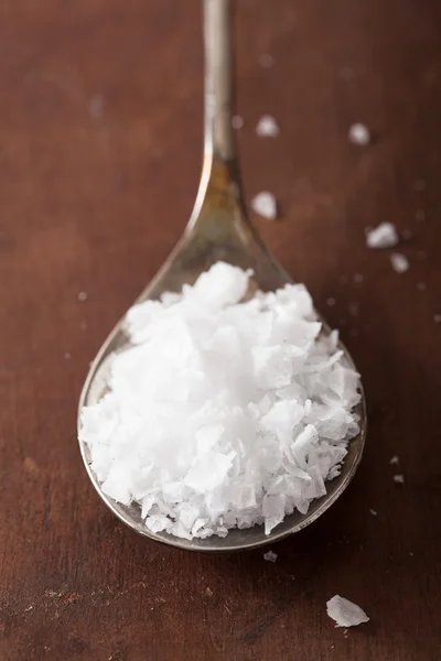 Mořská sůl v lžíce — Stock fotografie