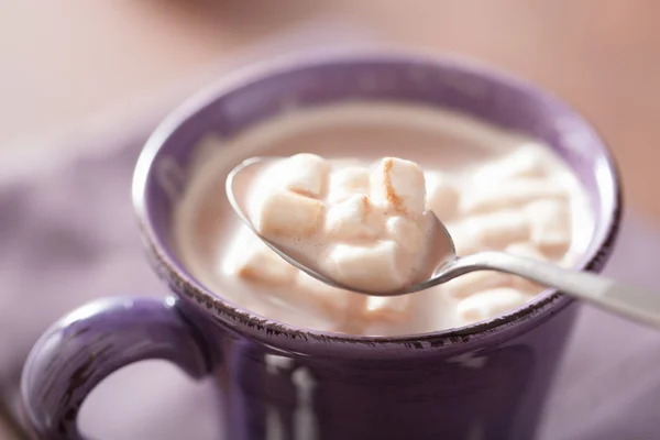 Coklat dengan marshmallow kecil dalam sendok — Stok Foto