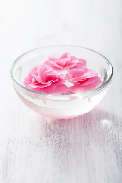 在碗里的海棠花 — 图库照片