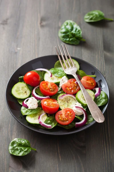 Sałatka z pomidorów ogórek i kozim serem — Zdjęcie stockowe