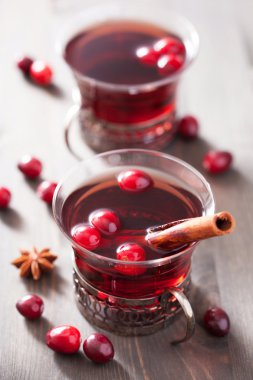 Kızılcık ve baharatlar ile mulled şarap
