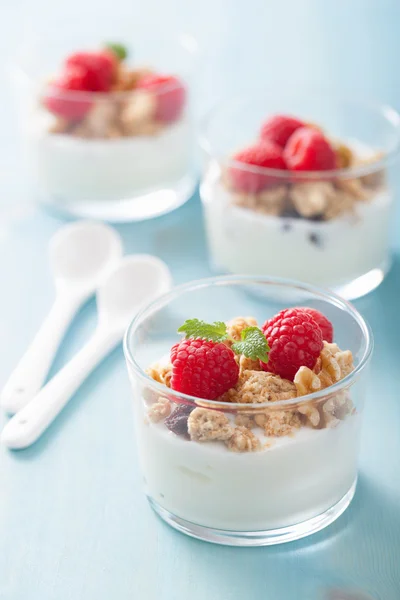 Desayuno saludable con yogur granola y frambuesa — Foto de Stock