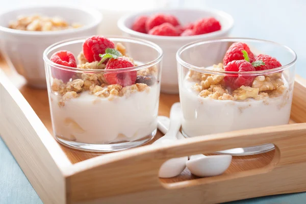 Egészséges reggeli joghurt, granola és málna — Stock Fotó