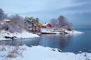 Norveç kış fiyort manzara renkli evler