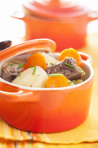 Beef stew with potato and carrot — Stock Photo, Image