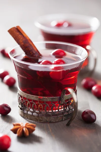 甜酒与蔓越莓和香料 — 图库照片