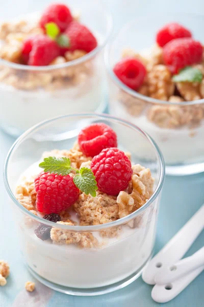 Gesundes Frühstück mit Joghurt-Müsli und Himbeere — Stockfoto