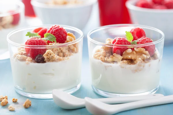Zdrowe śniadanie jogurt muesli i malina — Zdjęcie stockowe