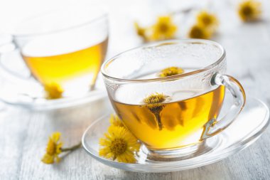 coltsfoot çiçekli bitki çayı