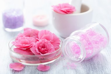 spa Begonia çiçek harç ve tuz ile ayarla