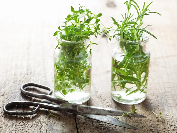 Thym frais et herbes de romarin en verre — Photo