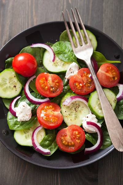 Salad with tomatoes cucumber and goat cheese — Stock Photo, Image