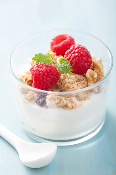 Colazione sana con yogurt muesli e lamponi — Foto Stock