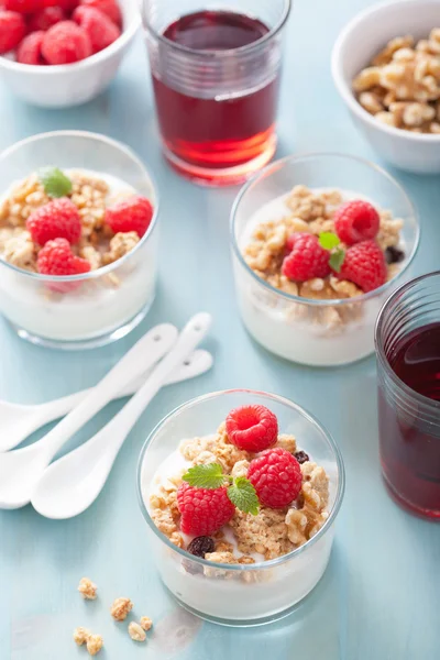 Colazione sana con yogurt muesli e lamponi — Foto Stock