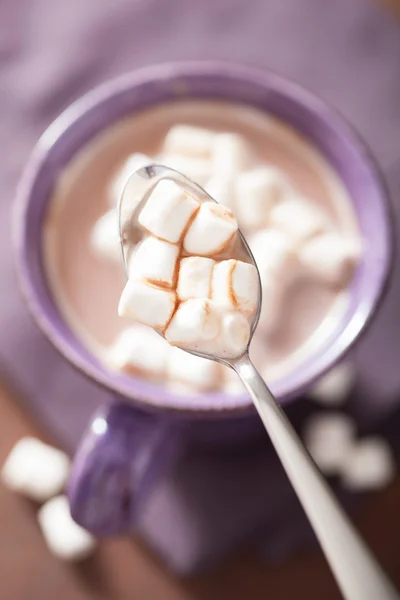 Cokelat panas dengan marshmallow mini dalam sendok — Stok Foto