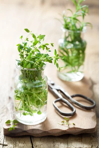 Čerstvý tymián a rozmarýn bylinky ve skle — Stock fotografie