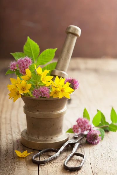 Mortar with flowers and herbs — Stock Photo, Image