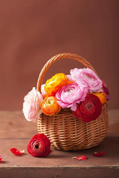 Vackra ranunculus blommor i korg美丽的花毛茛花在篮子里 — Stockfoto