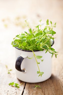 taze kekik ot emaye Kupası