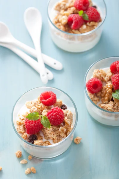 Healthy breakfast with yogurt granola and raspberry — Stock Photo, Image