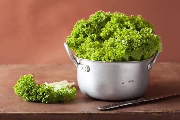 Свіже листя салату в запіканці — стокове фото