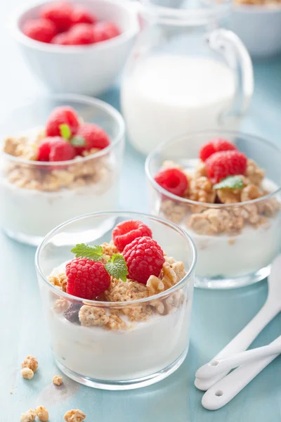 健康的な朝食ヨーグルト グラノーラとラズベリー — ストック写真