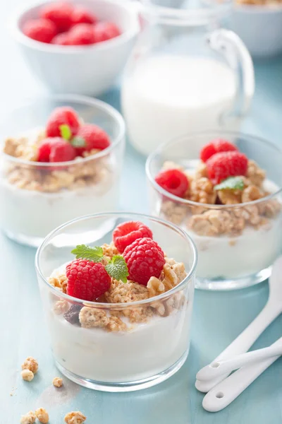 Hälsosam frukost med yoghurt müsli och hallon — Stockfoto