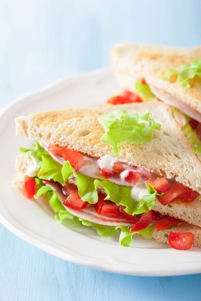Sandwich with ham tomato and lettuce — Stock Photo, Image