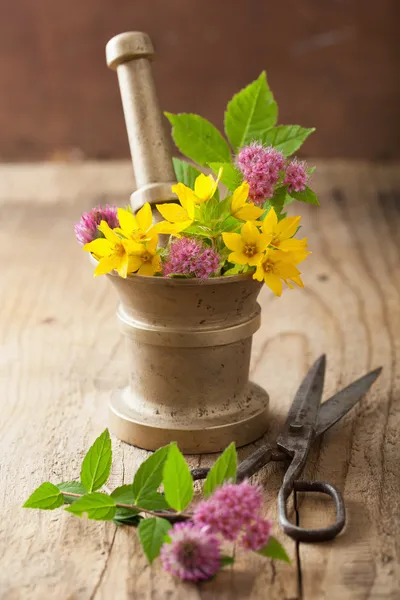 Mortar with flowers and herbs — Stock Photo, Image