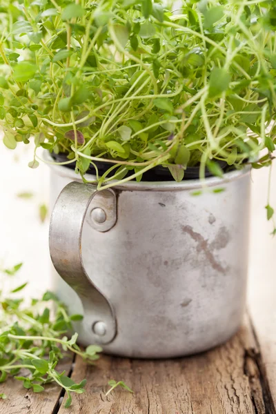 Fresh thyme herb in rustic cup — Stock Photo, Image