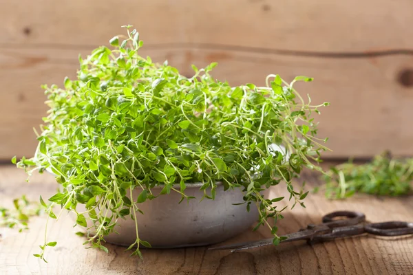 Hierba fresca de tomillo en cuenco de metal — Foto de Stock