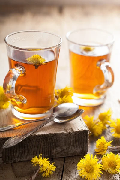 Tisana con fiori di coltsfoot — Foto Stock