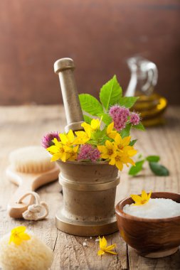 çiçekler ve bitkiler için Aromaterapi ve spa havan topu