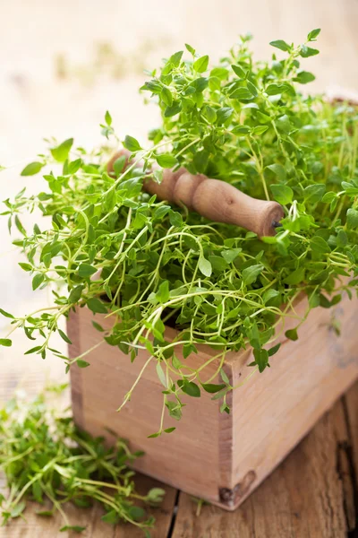 Čerstvý tymián byliny v dřevěné krabici — Stock fotografie