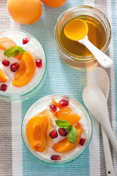 Petit déjeuner sain avec yaourt abricot grenade miel — Photo