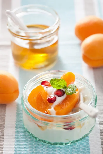 Hälsosam frukost med yoghurt aprikos granatäpple honung — Stockfoto