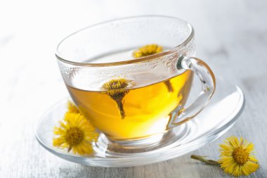 coltsfoot çiçekli bitki çayı 