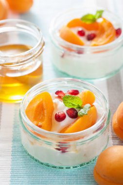 sağlıklı bir kahvaltı yoğurt kayısı Narlı